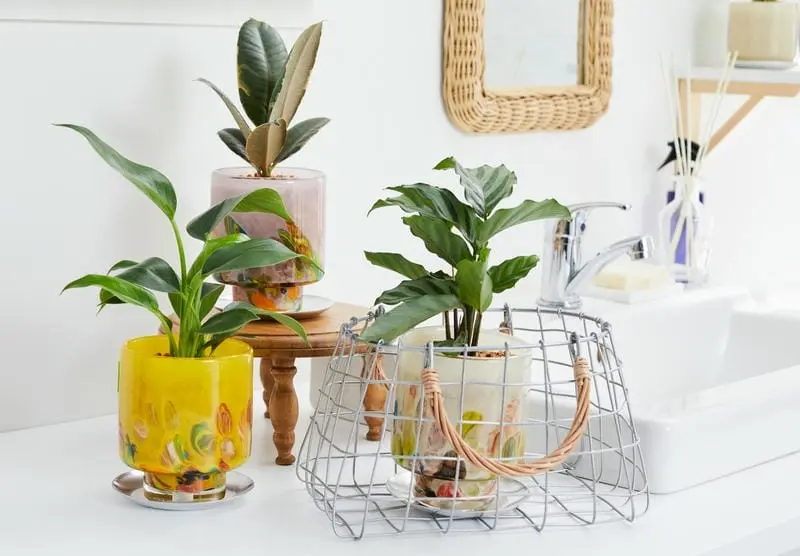 Tuyển chọn chậu hoa đẹp với thiết kế cuốn hút và tinh tế