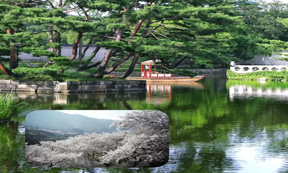 100+ ý tưởng thiết kế chòi nghỉ sân vườn đẹp thư giãn