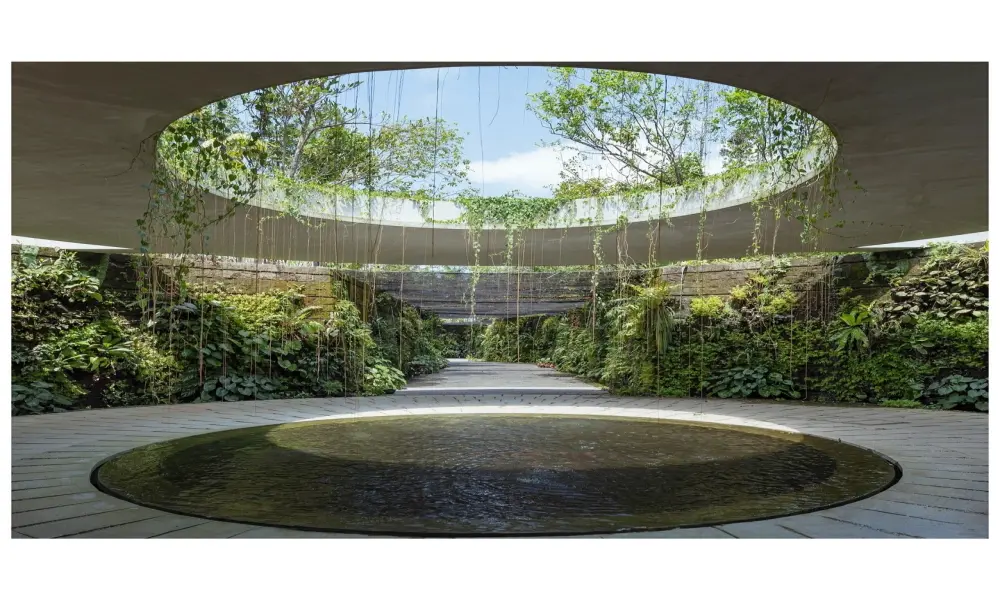 Top 50 mẫu sân vườn tropical rậm rạp đẹp như rừng