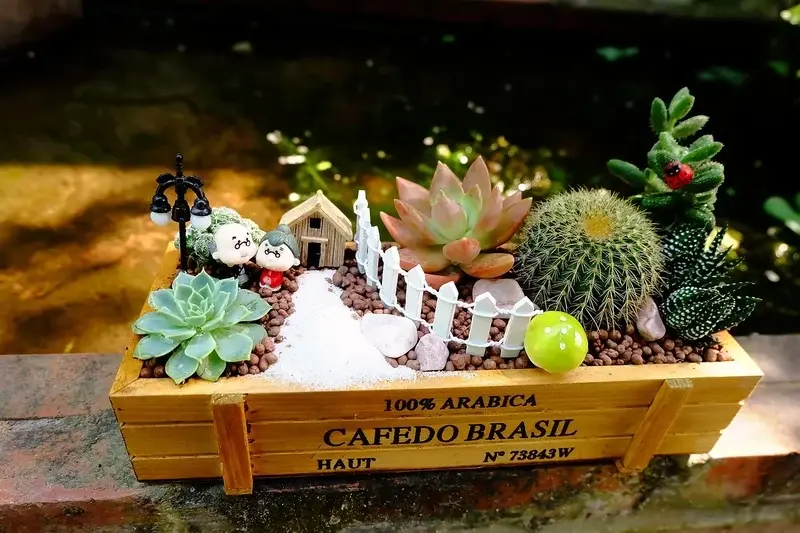 Ảnh tiểu cảnh sen đá nghệ thuật cho không gian nhỏ