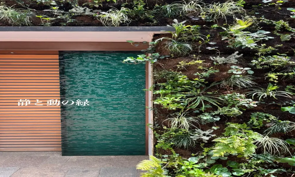 85+ mẫu tường cây xanh đẹp ngất ngây cho không gian hiện đại