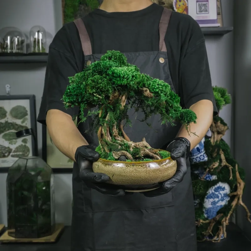 Các làng nghề bonsai nổi tiếng nhất