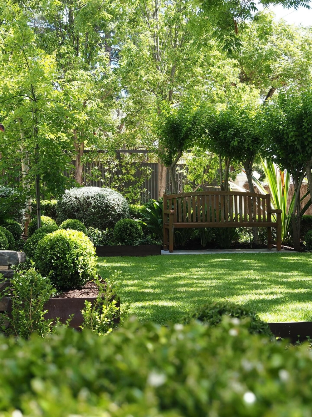 Cây bóng mát rễ cọc không phá nền đảm bảo an toàn kết cấu