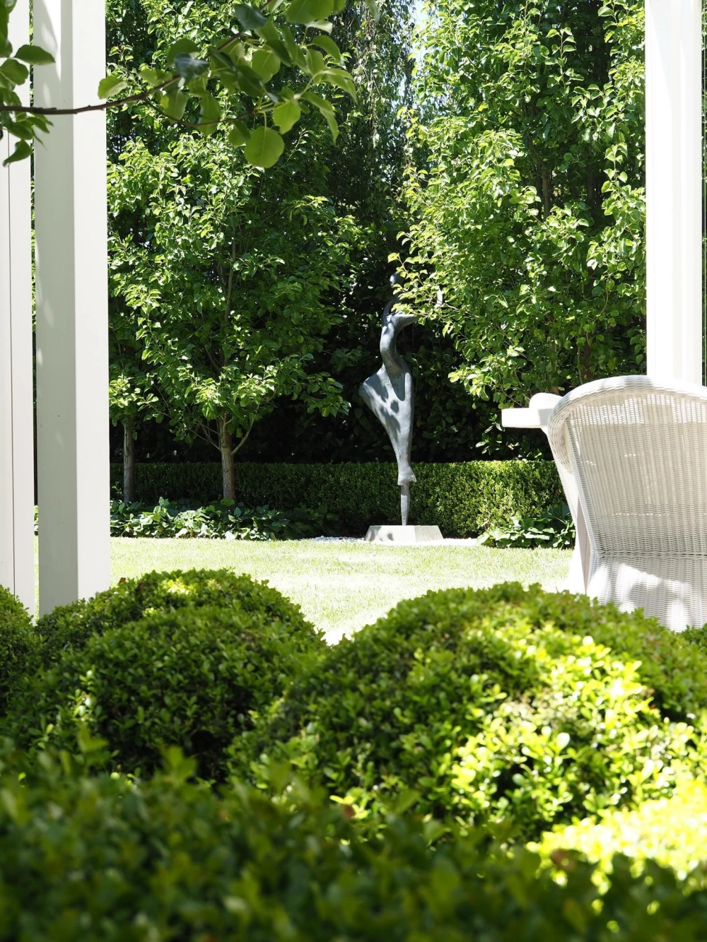 Mẫu cây bóng mát ít rụng lá được yêu thích tại trường học