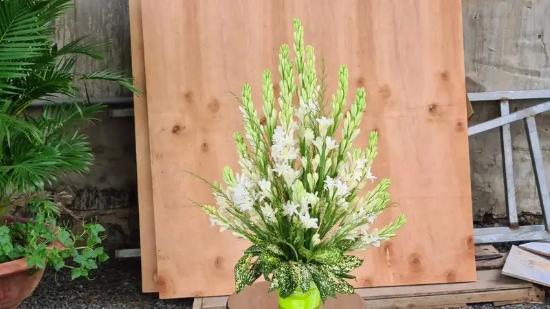 Cây để bàn thờ thần tài cho cửa hàng kinh doanh hút khách