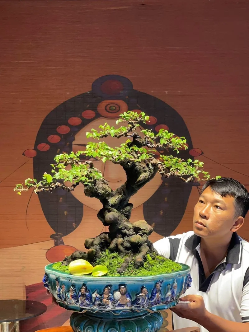 Các phôi khế gân giá rẻ chất