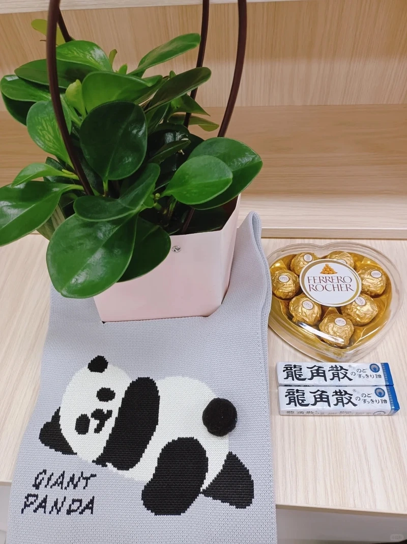 Phòng khách sang hơn cùng cây Trường sinh để phòng khách