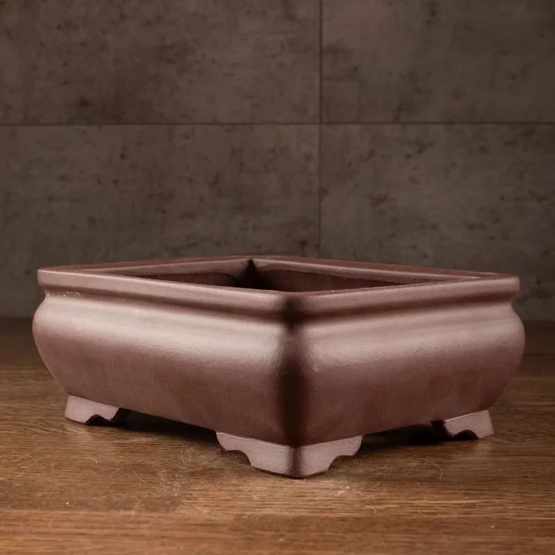 Cách phối màu sắc chậu bonsai chuẩn