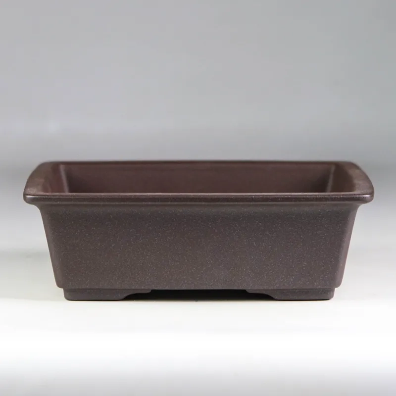 Chọn kích thước chậu bonsai phù