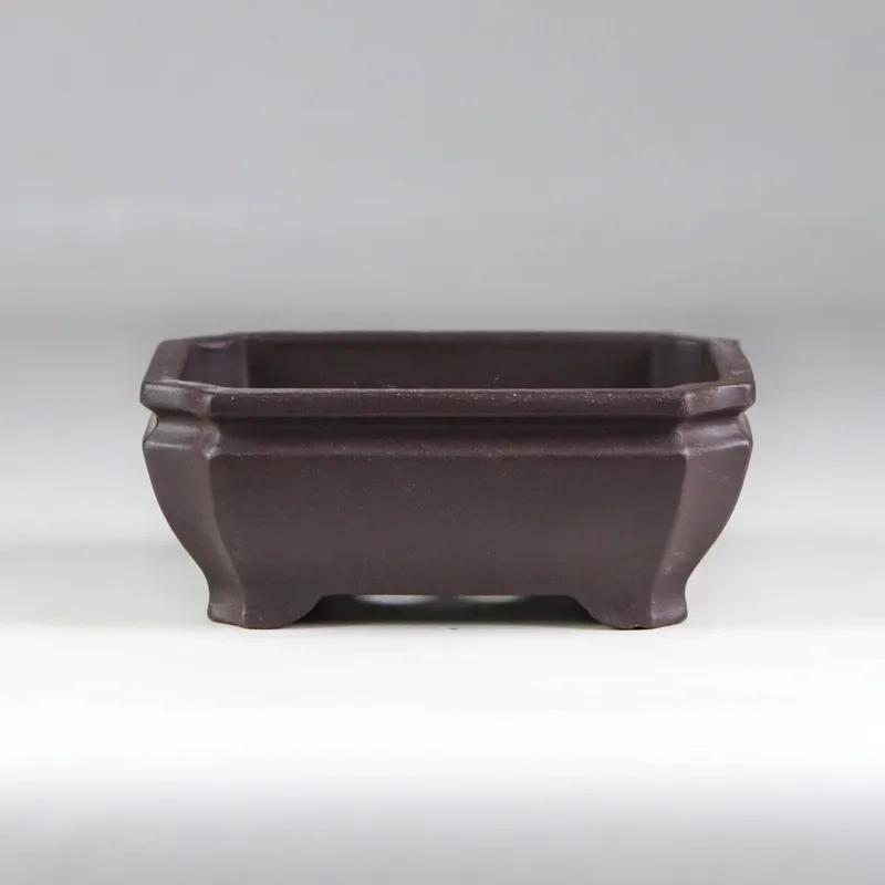 Các dòng chậu bonsai xuất khẩu xịn