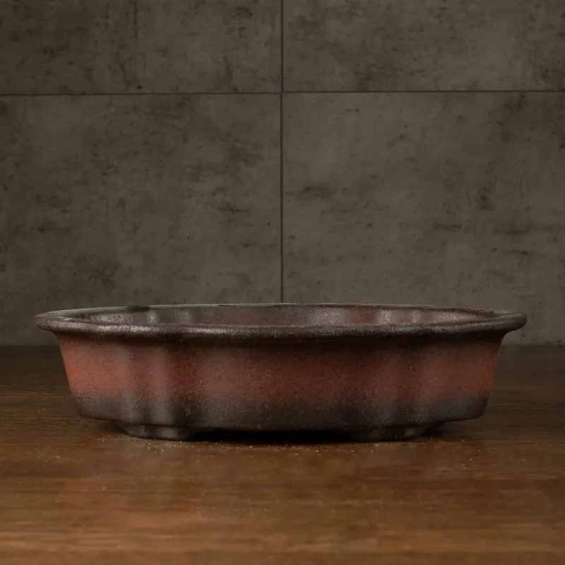 Dòng chậu bonsai Đồng Nai sành