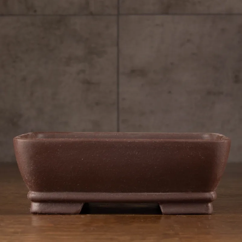 Cách chọn chậu hợp dáng cây cảnh