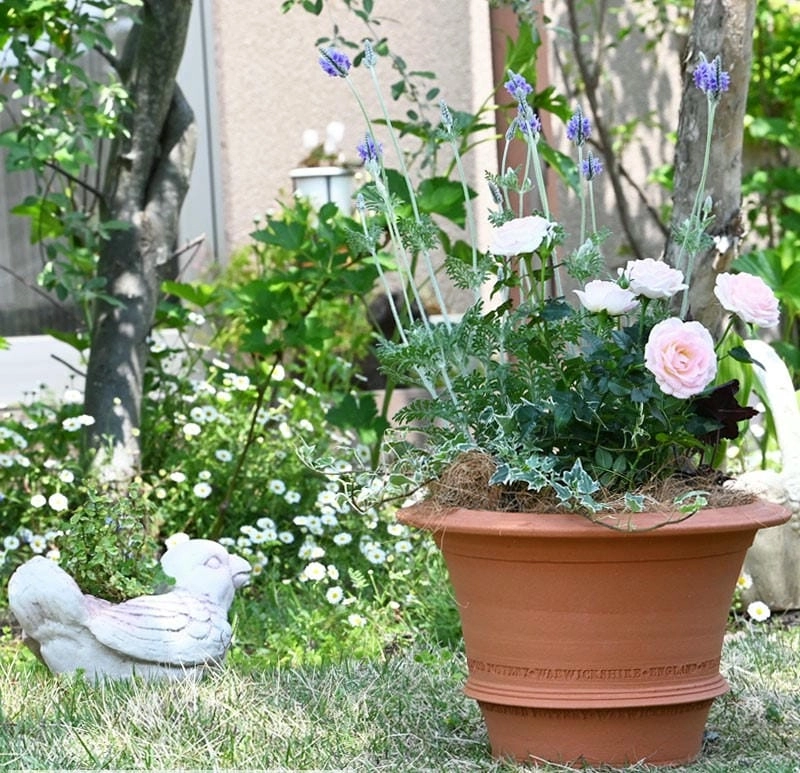 Mẫu chậu hoa đẹp dẫn đầu xu hướng trang trí