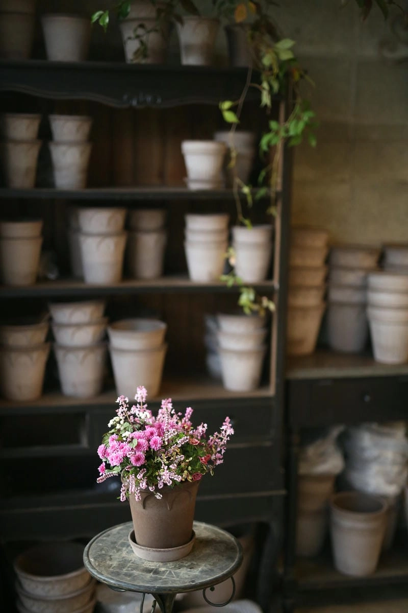 Hình ảnh chậu hoa đẹp ghi dấu nét thẩm mỹ