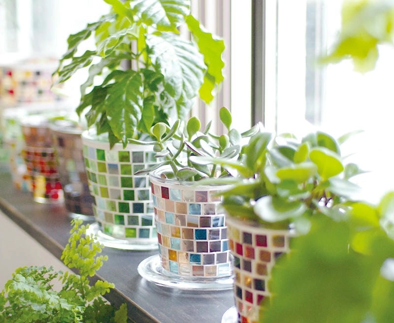 Chậu trồng hoa đẹp bền bỉ và thẩm mỹ