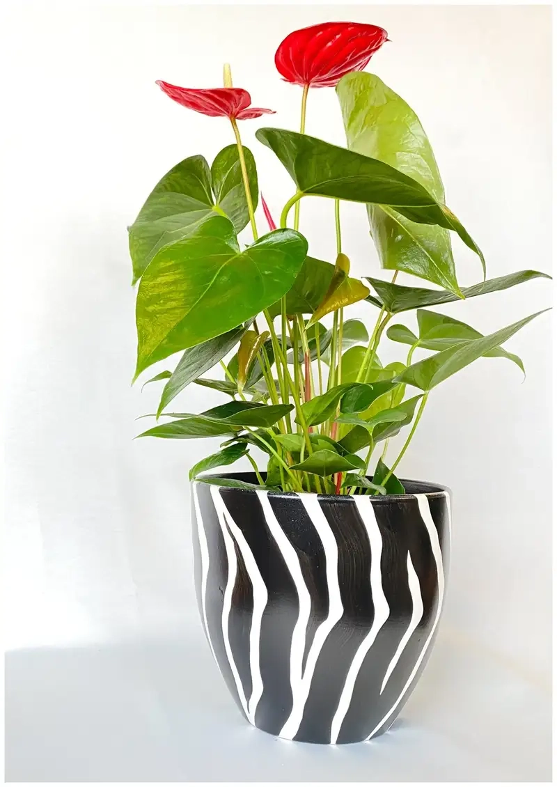 Chậu hoa độc lạ tạo điểm nhấn khác biệt