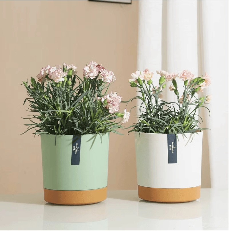 Chậu hoa mini đẹp nhỏ xinh dễ bài trí