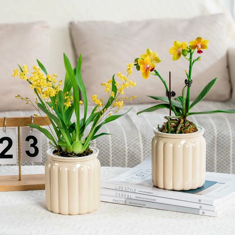 Chậu hoa xinh mang cảm giác ấm áp