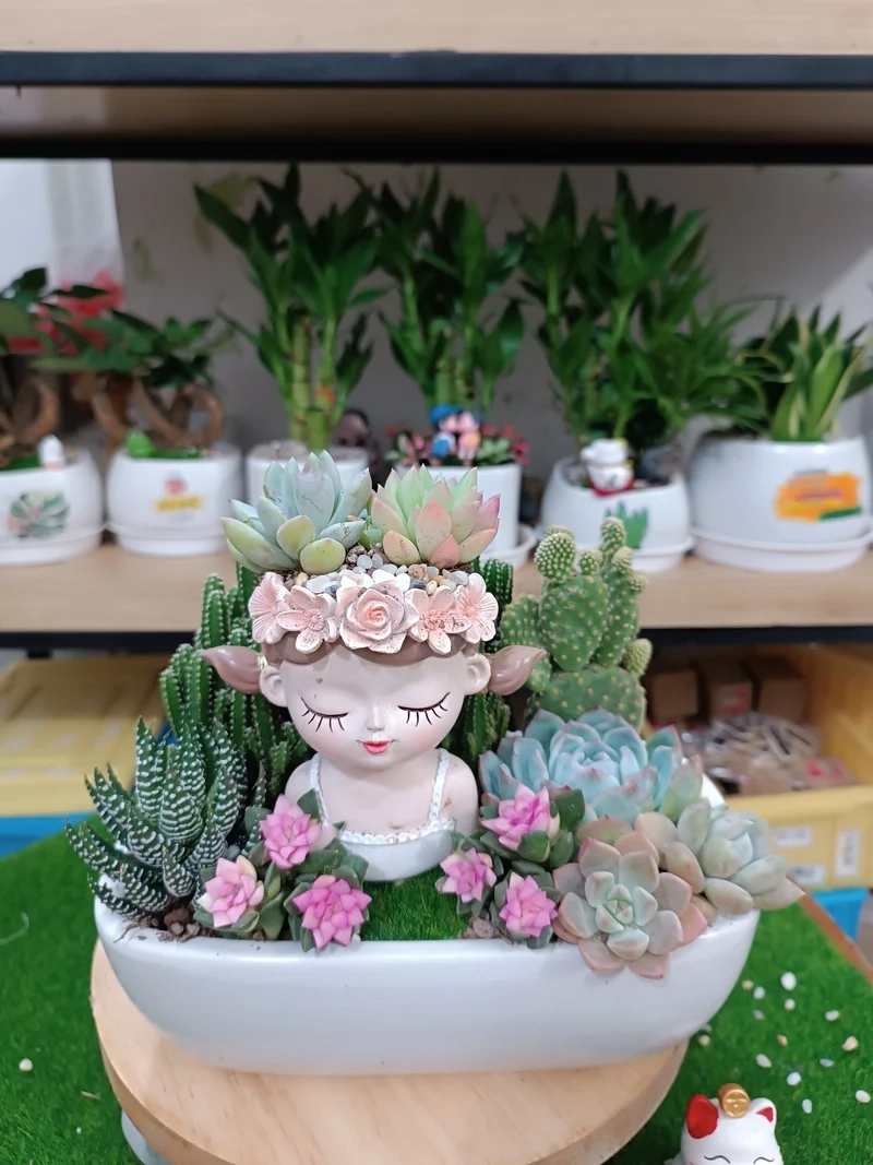 Ban công thêm sinh động nhờ chậu sen đá cho ban công