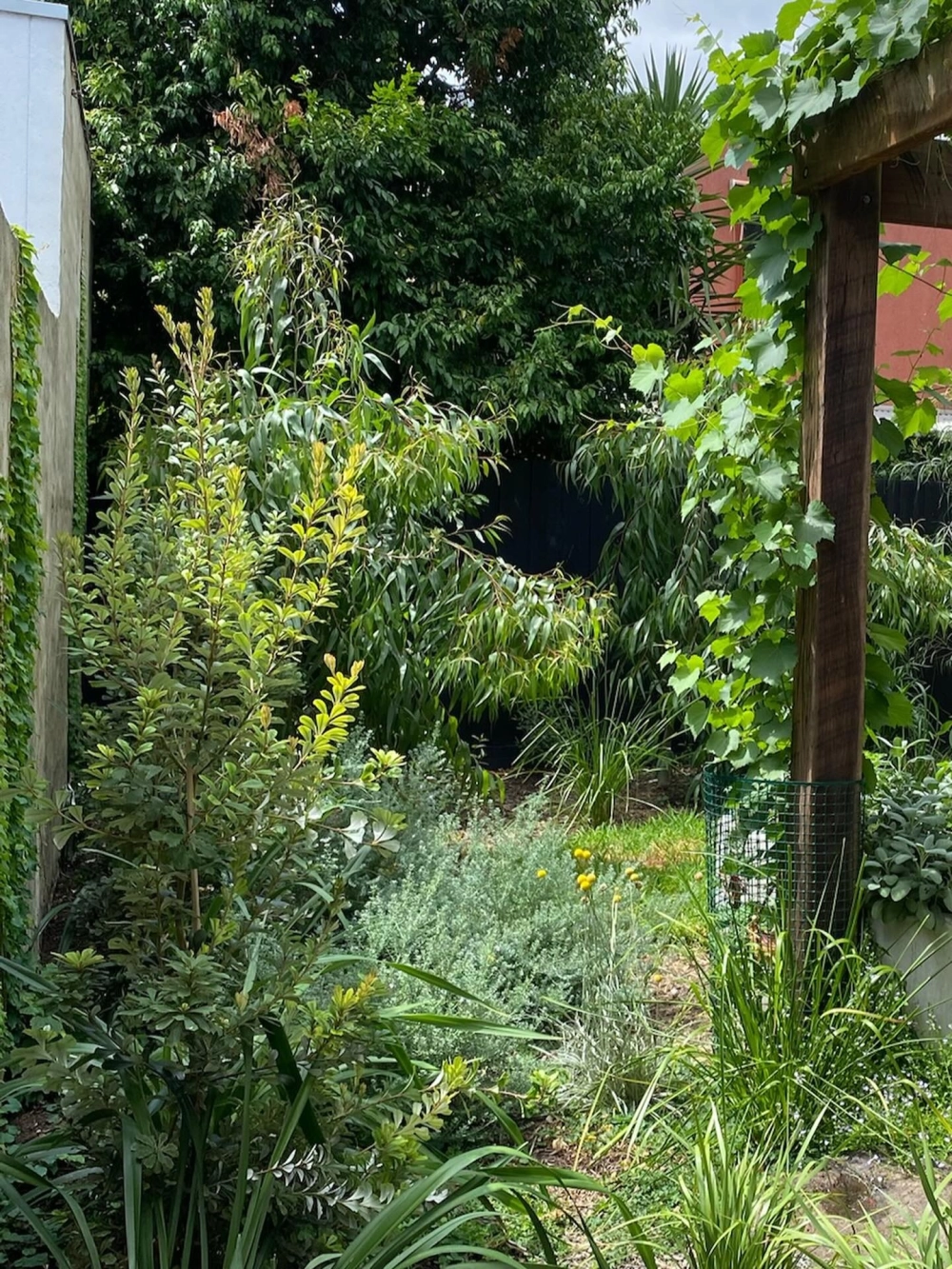 Mua cỏ sân vườn ở đâu đảm bảo chất lượng và giống tốt