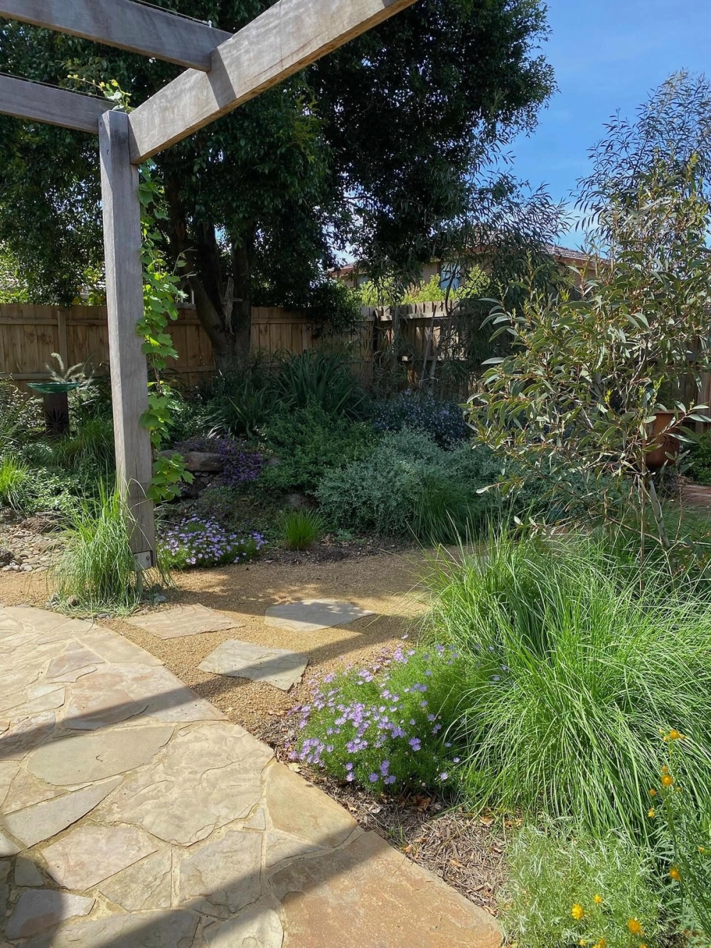 Giá cỏ sân vườn ưu đãi tại các nhà vườn uy tín