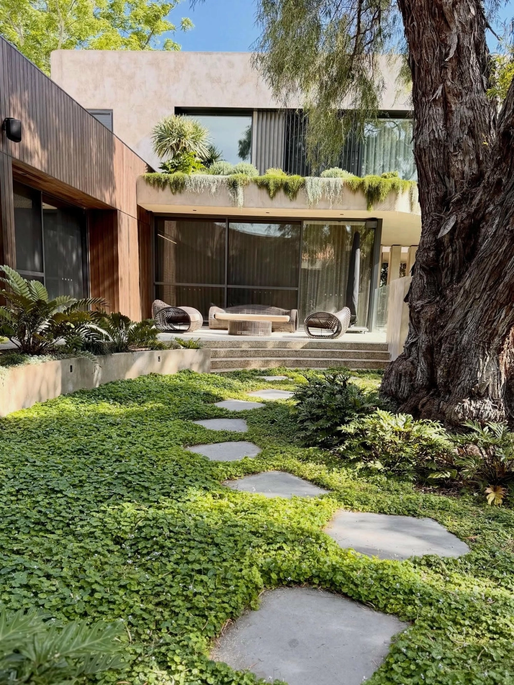 Dịch vụ trồng cỏ sân vườn chuyên nghiệp và trọn gói