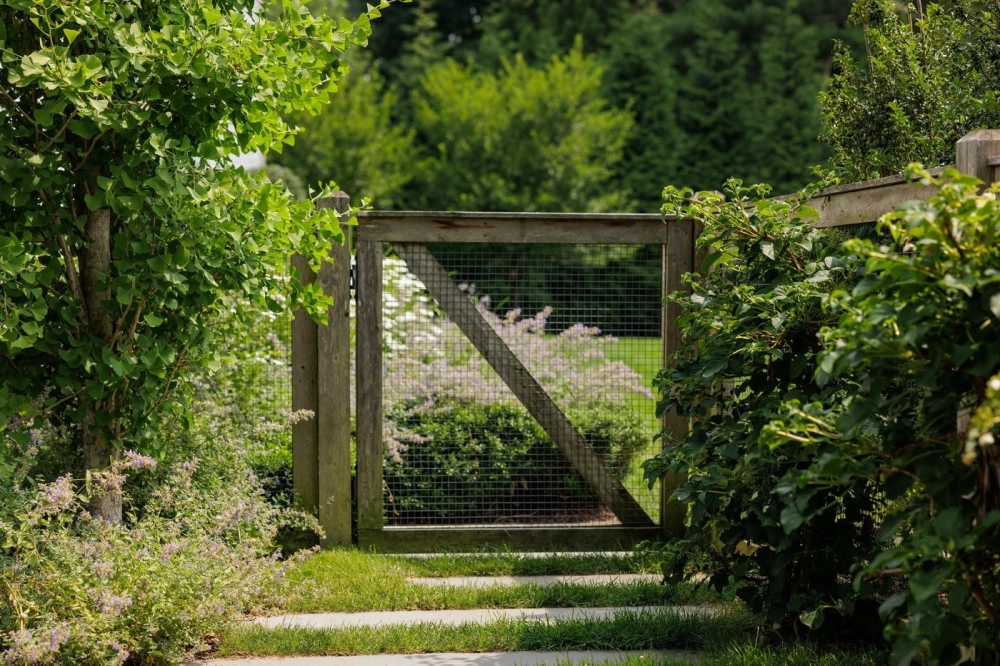 Mẫu cổng nhà vườn hiện đại tích hợp hệ thống tự động