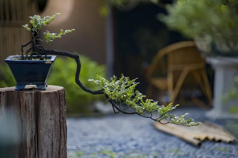 Thế dáng thác đổ đầy nghệ thuật