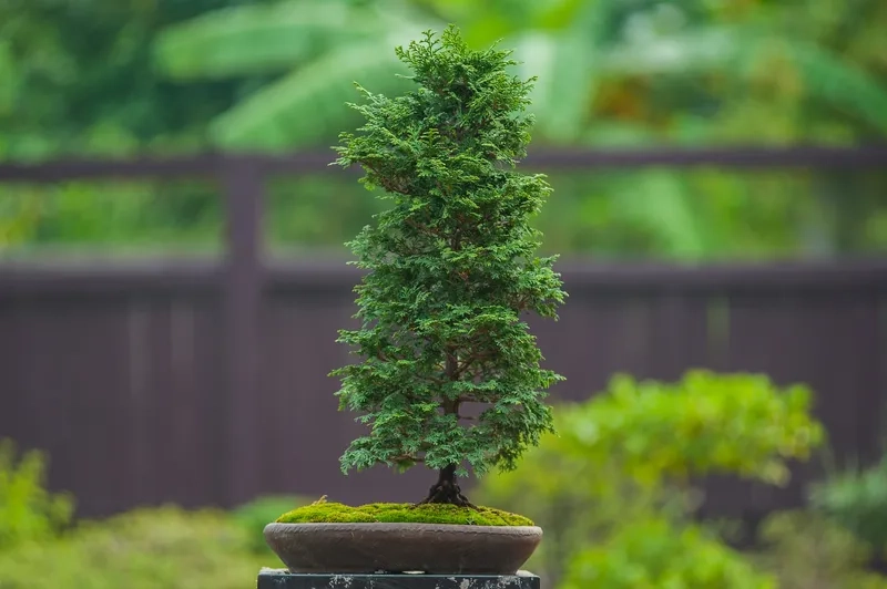 Mẫu dáng làng cổ kính rêu phong