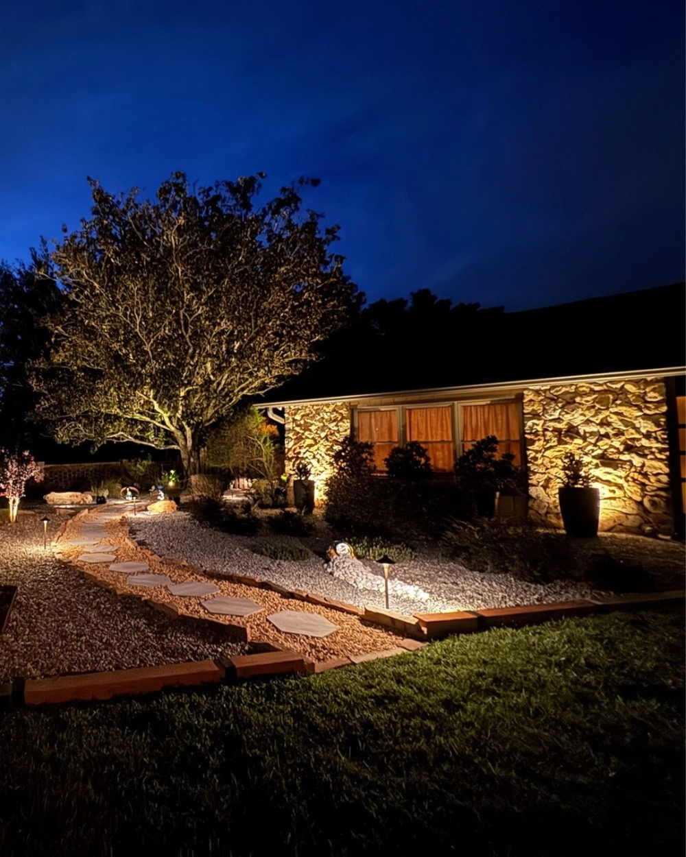 Đèn led dây trang trí sân vườn quấn quanh thân cây cổ thụ