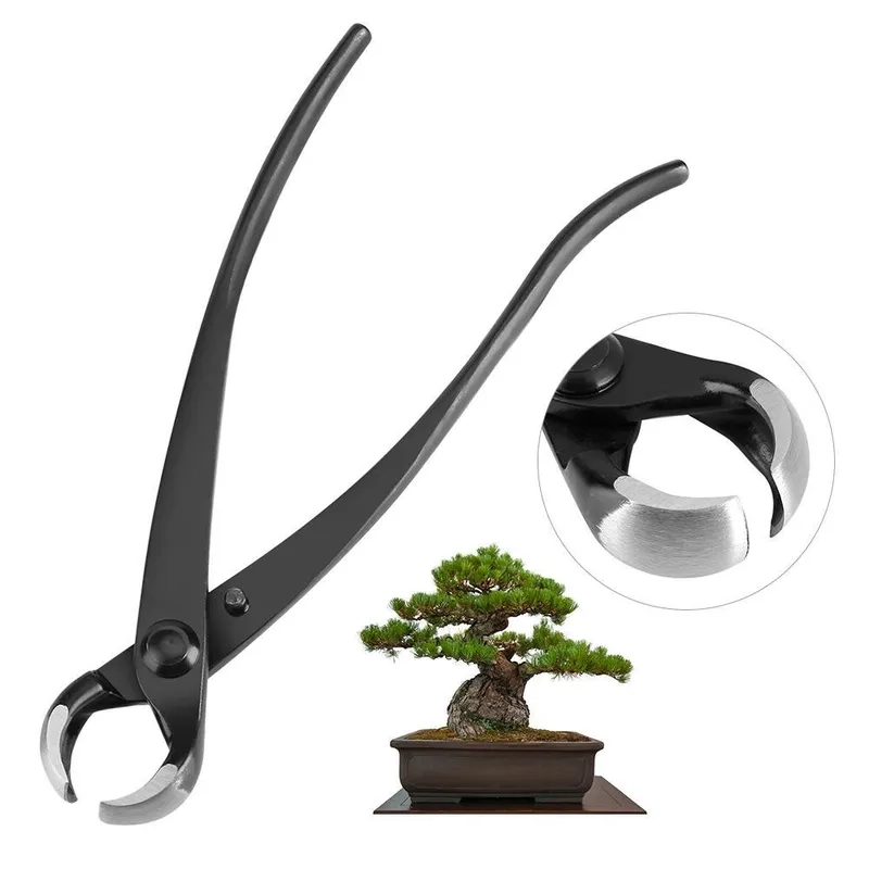 Bộ chổi vệ sinh bonsai sạch