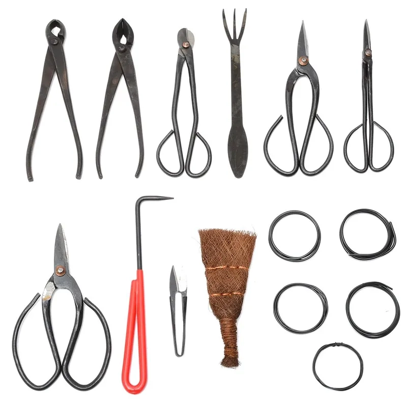 Chiếc ưa bonsai mini tiện lợi