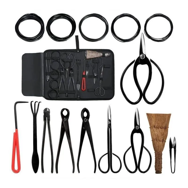 Cái rây đất bonsai mịn màng