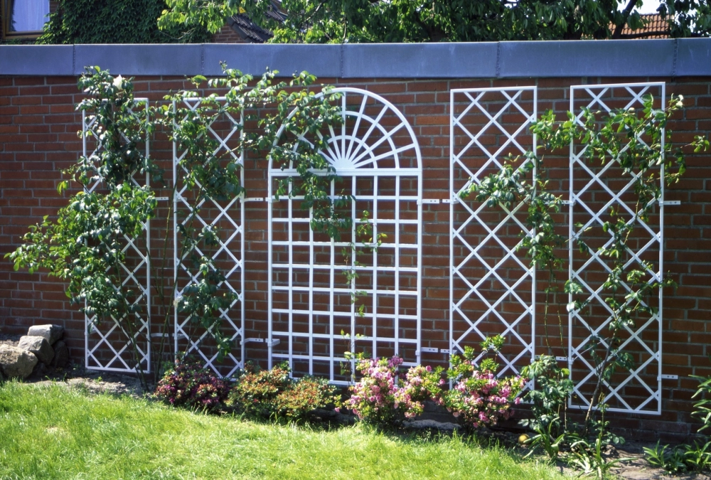 Giàn hoa đẹp tạo không gian xanh đầy cảm hứng