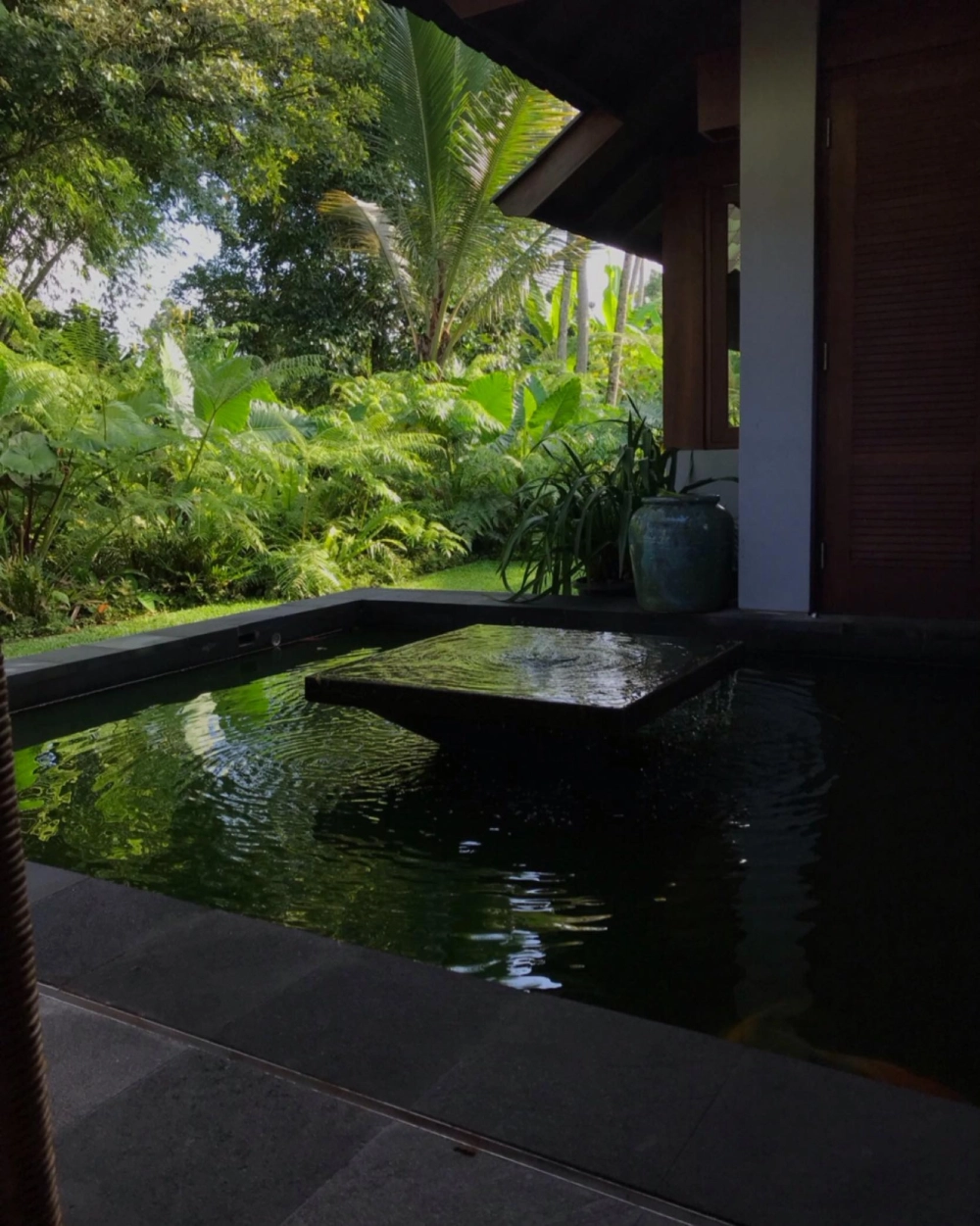 Cách bố trí hồ cá Koi mini sân vườn dưới tán cây lớn