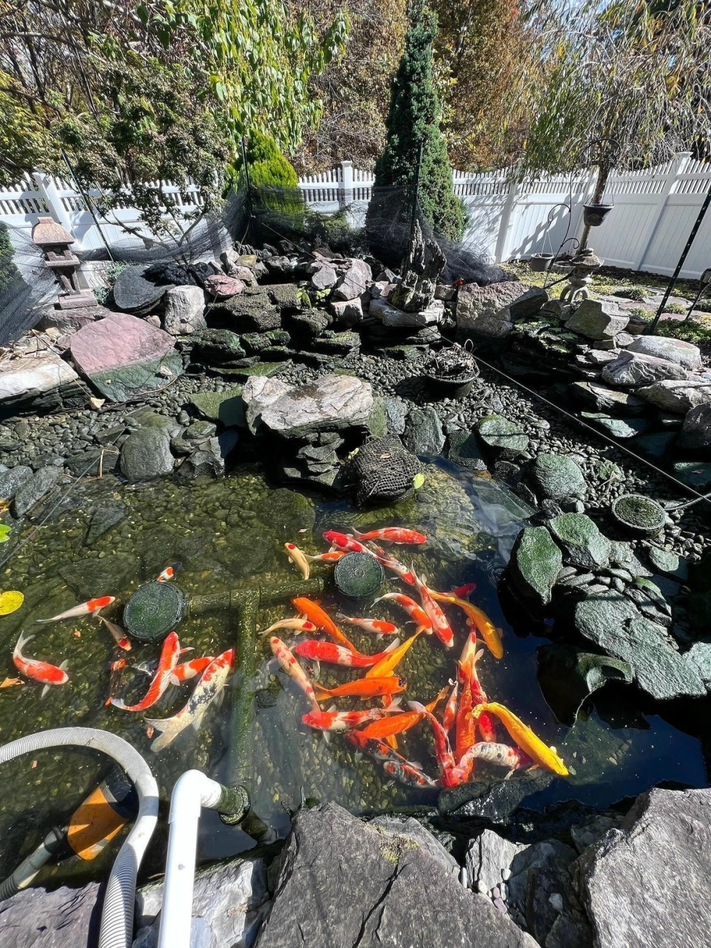 Mẫu thiết kế hồ cá Koi kết hợp tiểu cảnh khô tinh tế