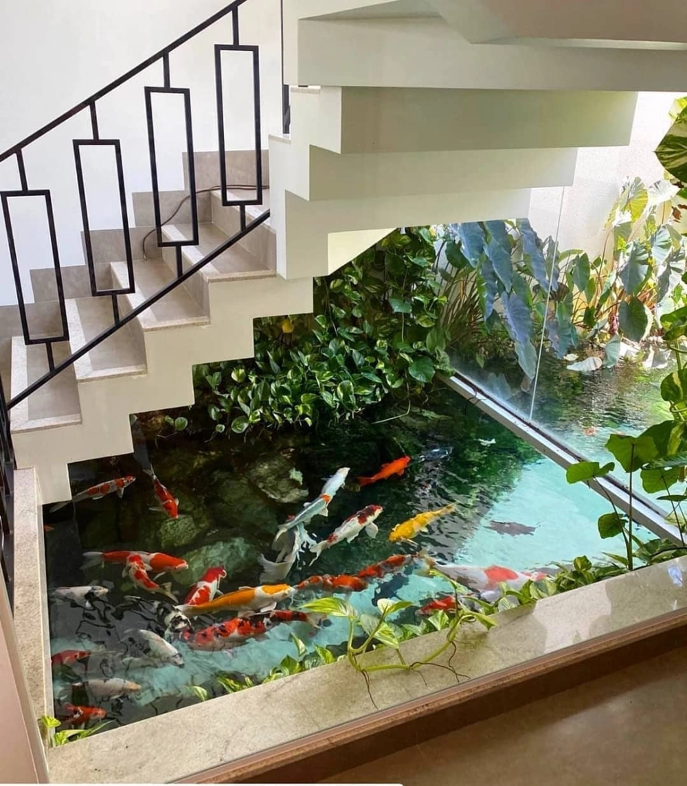 Tư vấn chi phí làm hồ cá Koi tiết kiệm và bền đẹp