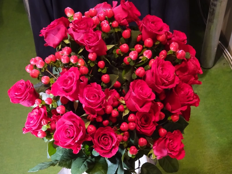 Ảnh hoa hồng đẹp lưu giữ vẻ đẹp ngọt ngào