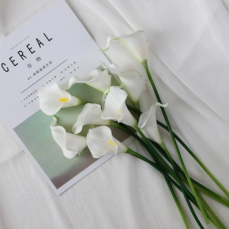 Ảnh hoa rum lưu giữ khoảnh khắc tinh khôi