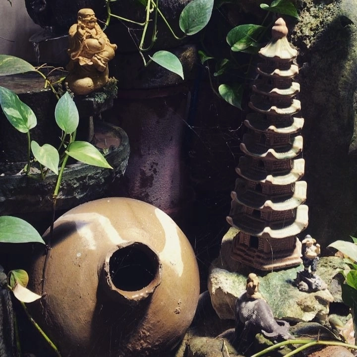 Hòn non bộ kết hợp hồ cá koi cho biệt thự sân vườn