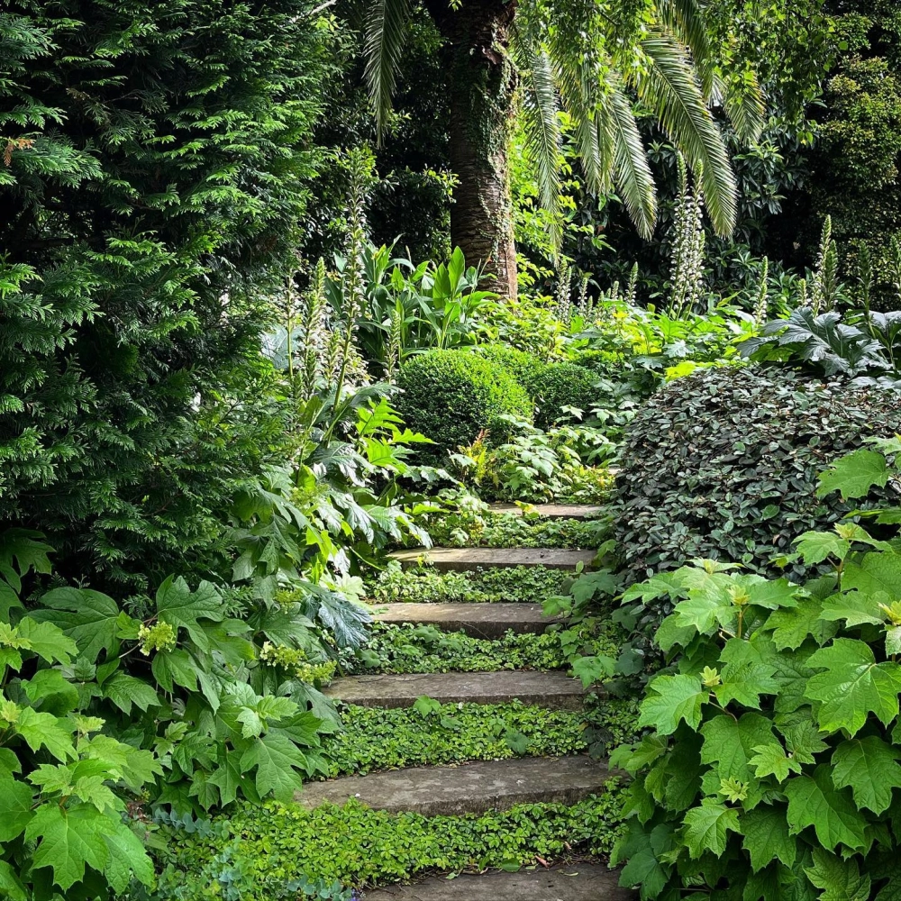 Đường lối đi sân vườn uốn lượn mềm mại giữa thảm cỏ