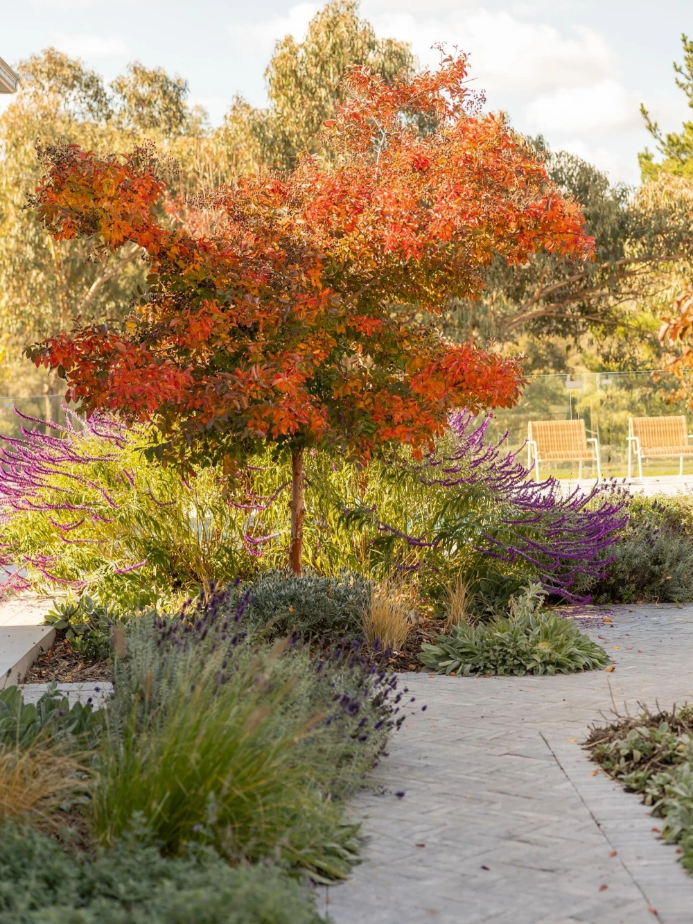 Mẫu sân vườn đẹp trên tầng thượng xanh mướt giữa lòng phố thị