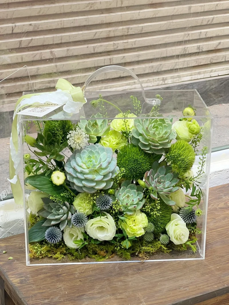 Gửi yêu thương qua quà tặng sen đá ý nghĩa