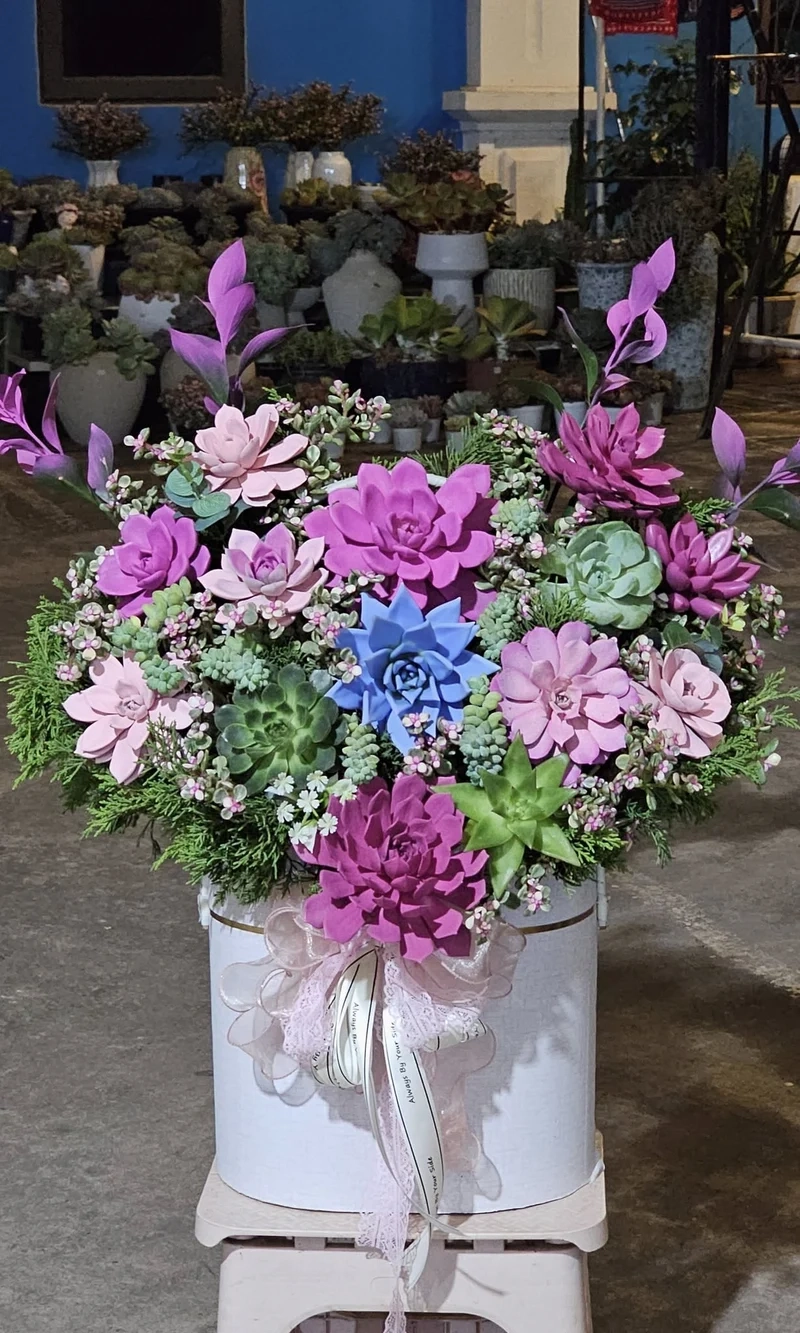 Chọn quà tặng sen đá đẹp để gửi gắm yêu thương