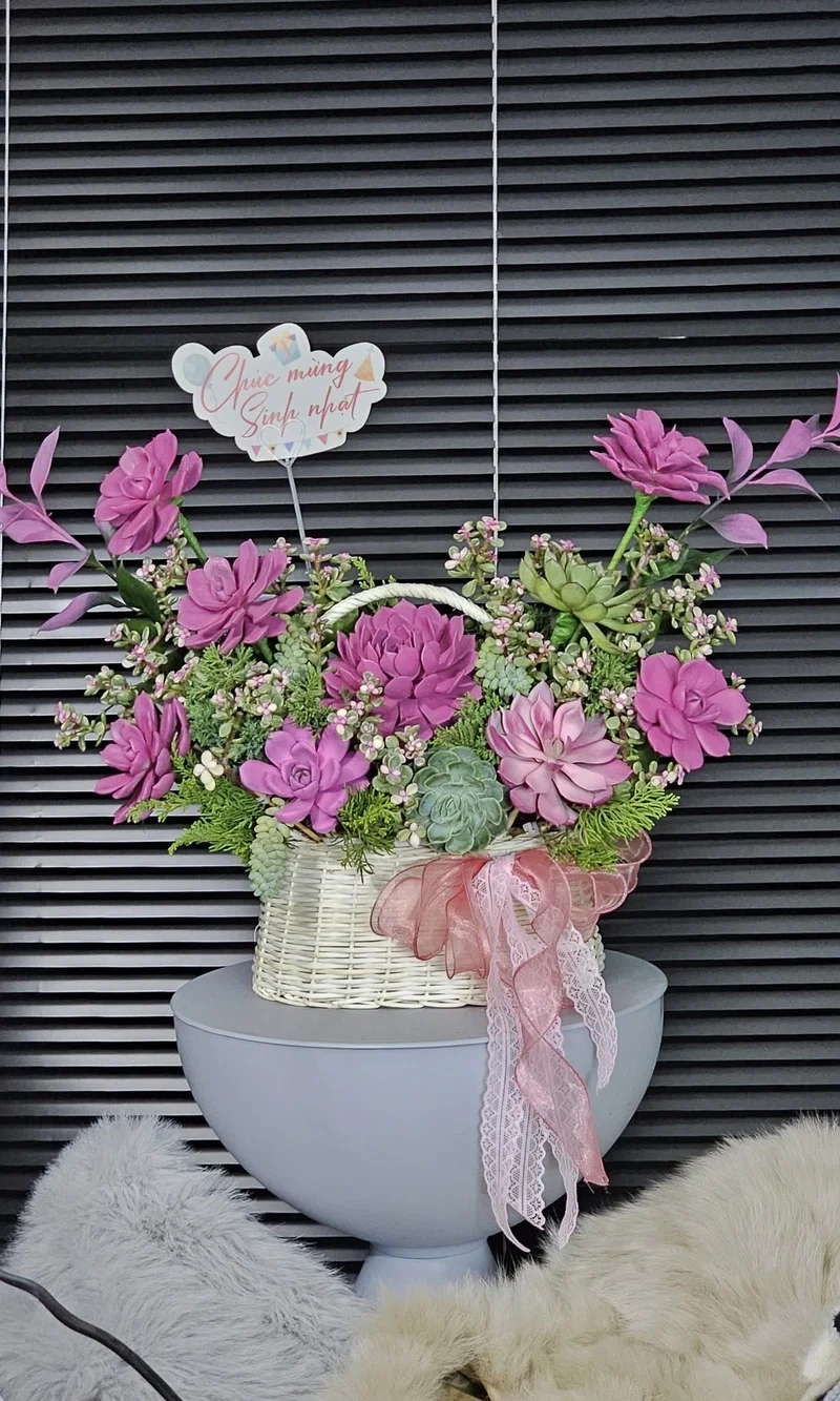 Tạo năng lượng tốt với quà tặng sen đá phong thủy