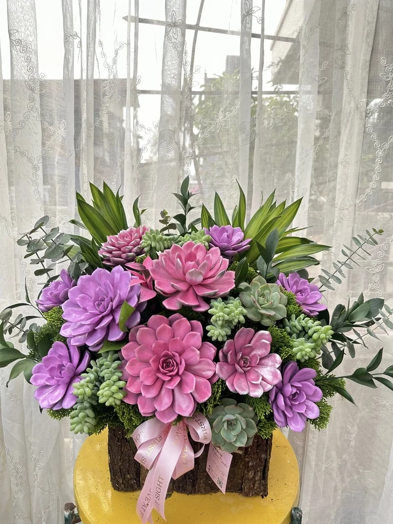 Quà tặng sen đá là gì và vì sao được yêu thích