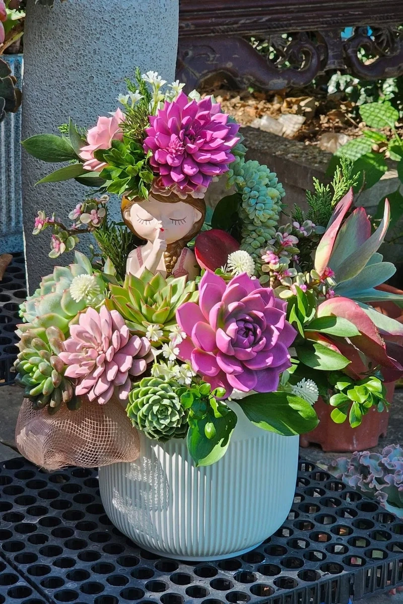 Mừng sinh nhật đặc biệt bằng quà tặng sen đá sinh nhật