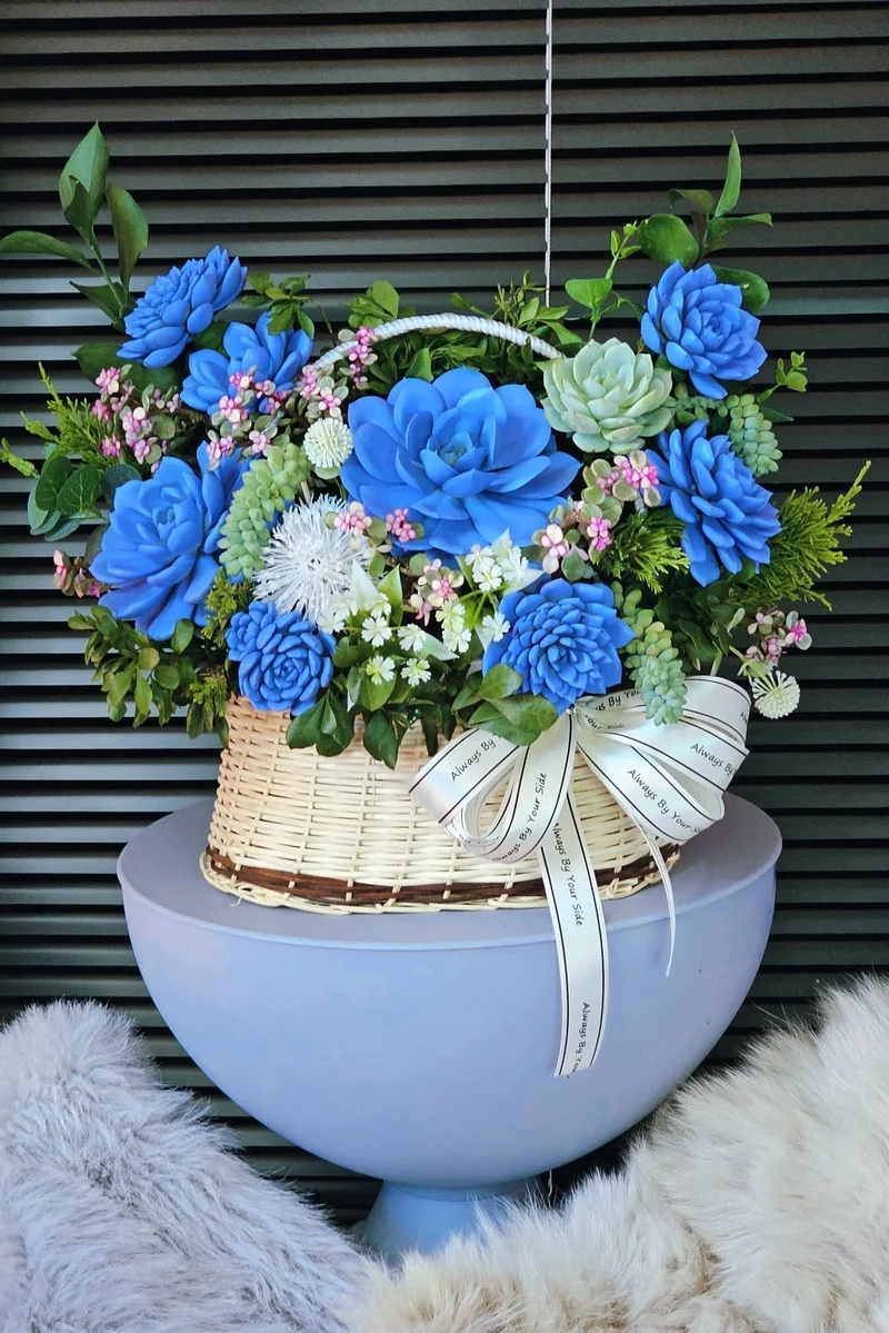 Khai trương may mắn với quà tặng sen đá khai trương