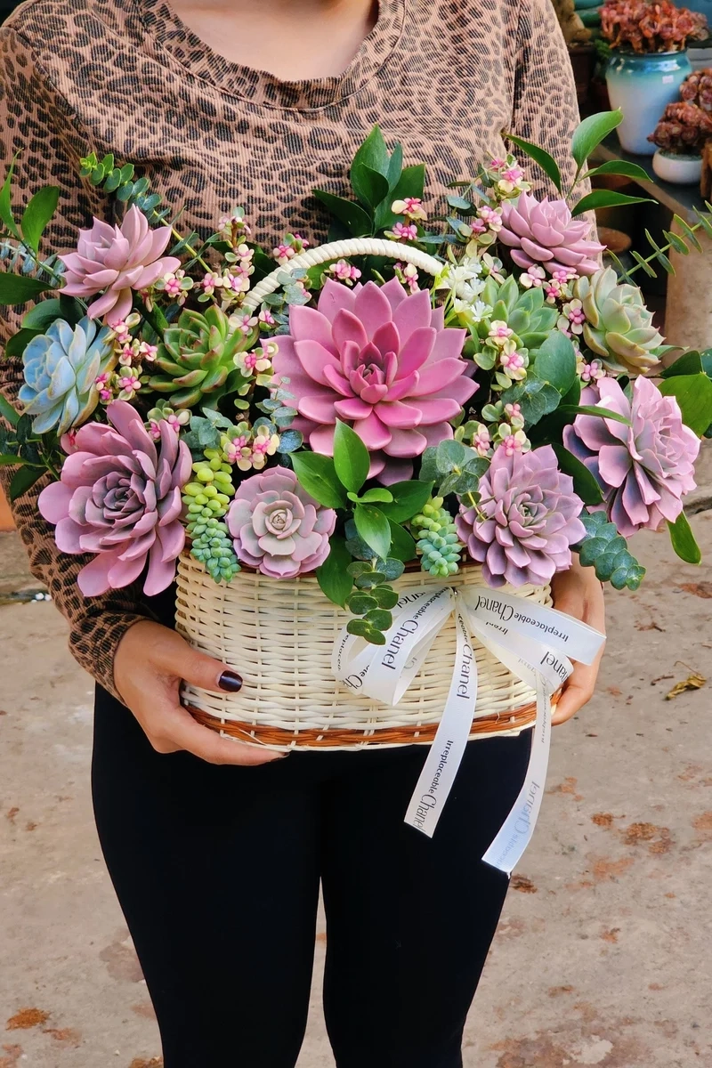 Trang trí văn phòng xinh nhờ quà tặng sen đá văn phòng