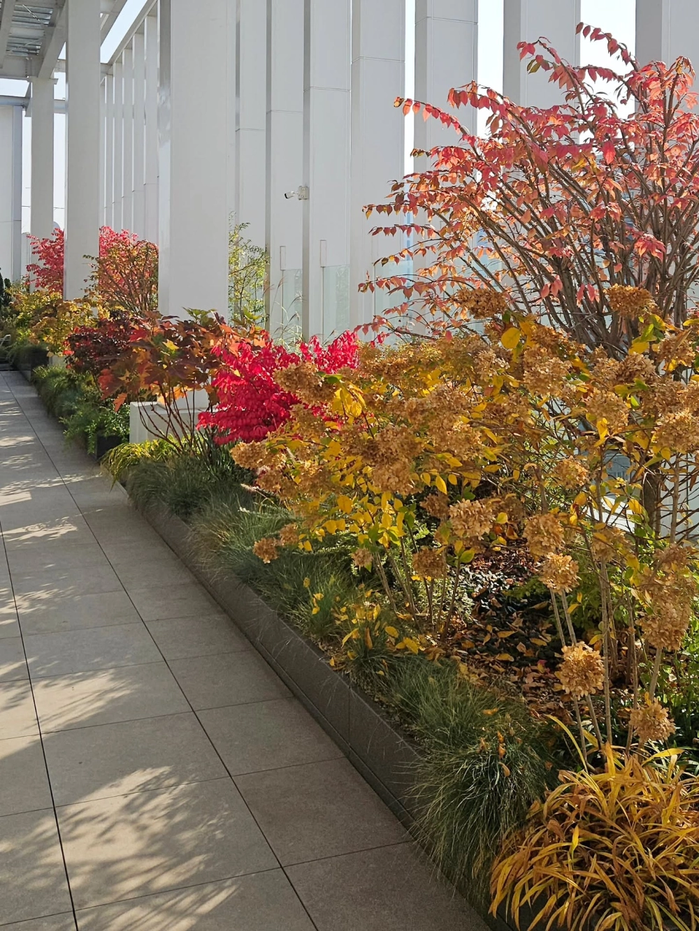 Lan can sân thượng đẹp bằng kính cường lực sang trọng